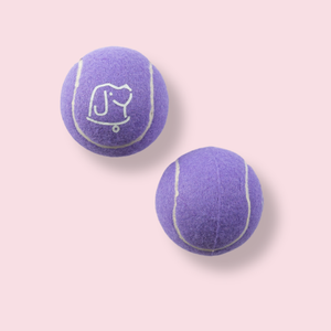 Purple Tennis Ball Dog Toy