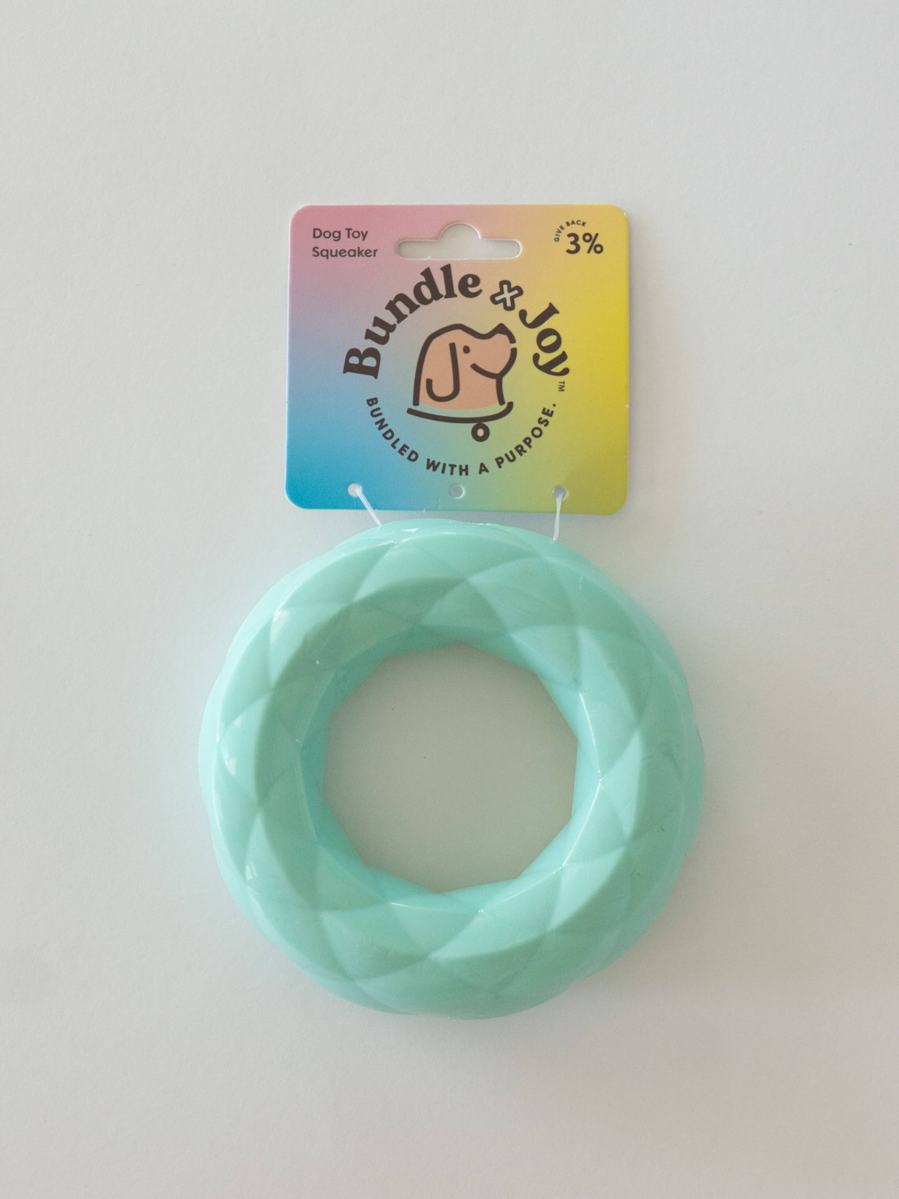 Ring Squeaker Dog Toy: Teal