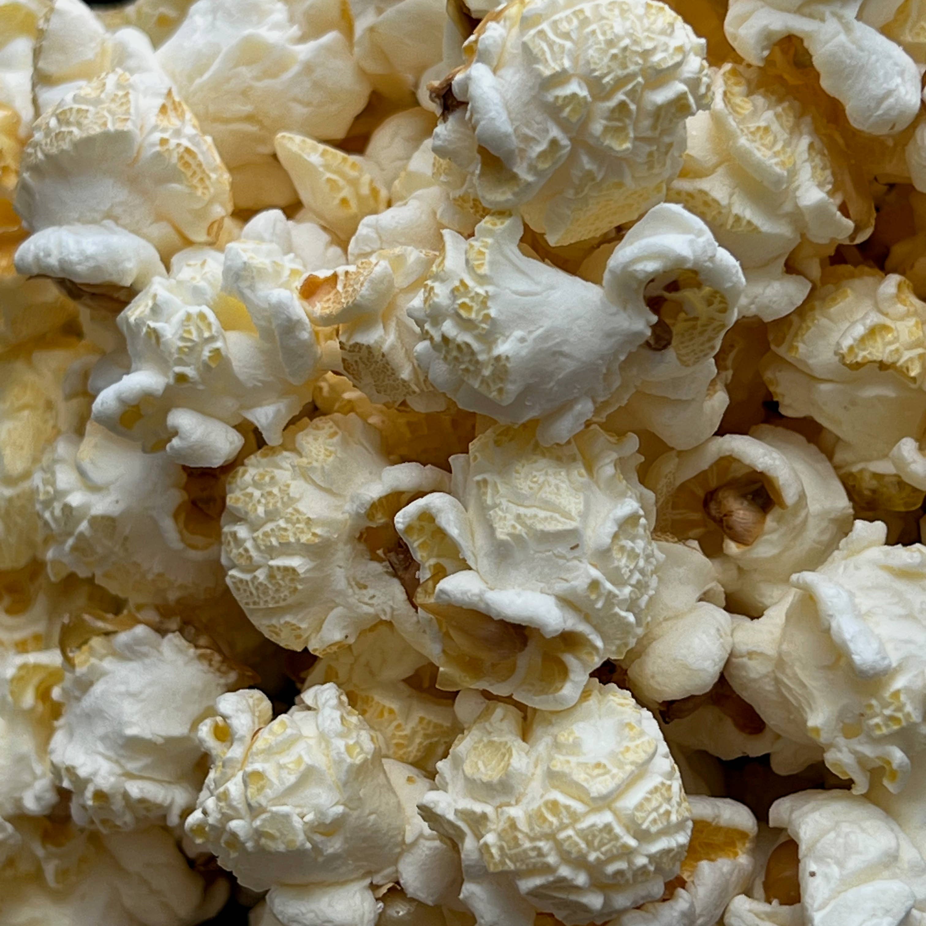 Close-up of popcorn kernels