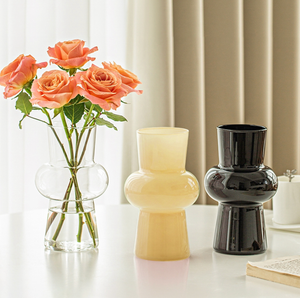 Modern Decorative Plant Hydroponic Vase: Clear