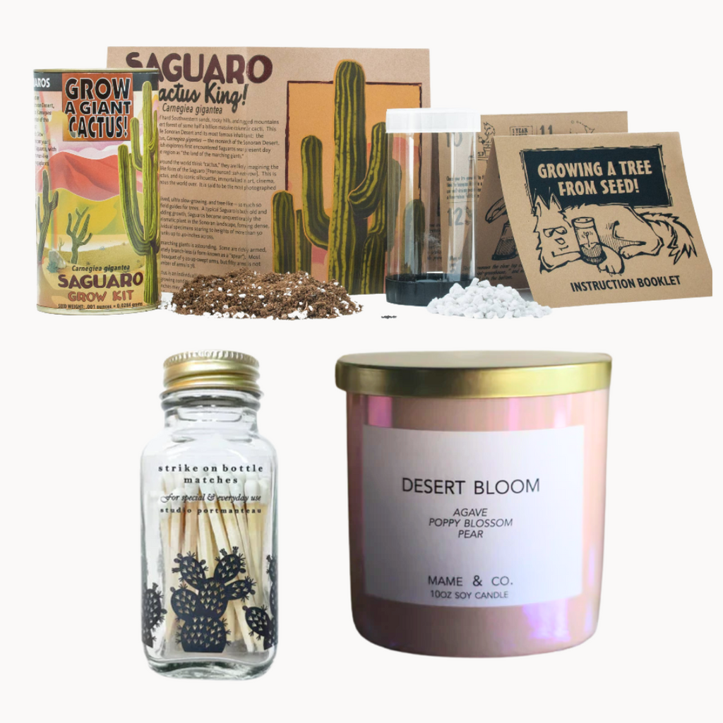 gift box with grow a cactus kit, matches, and candle