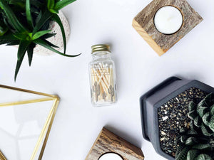 Matches | Saguaro Cactus Match Jar