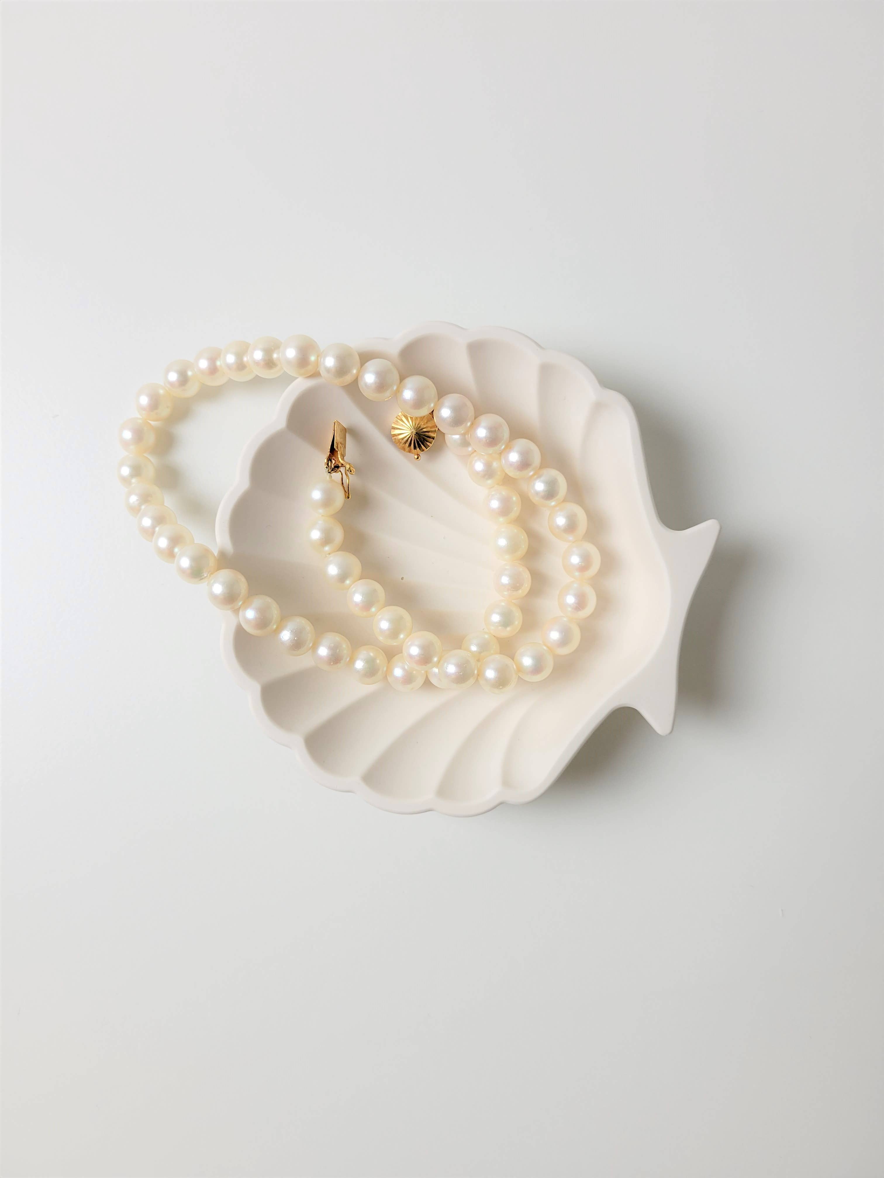 Sea Shell trinket dish | jewelry tray
