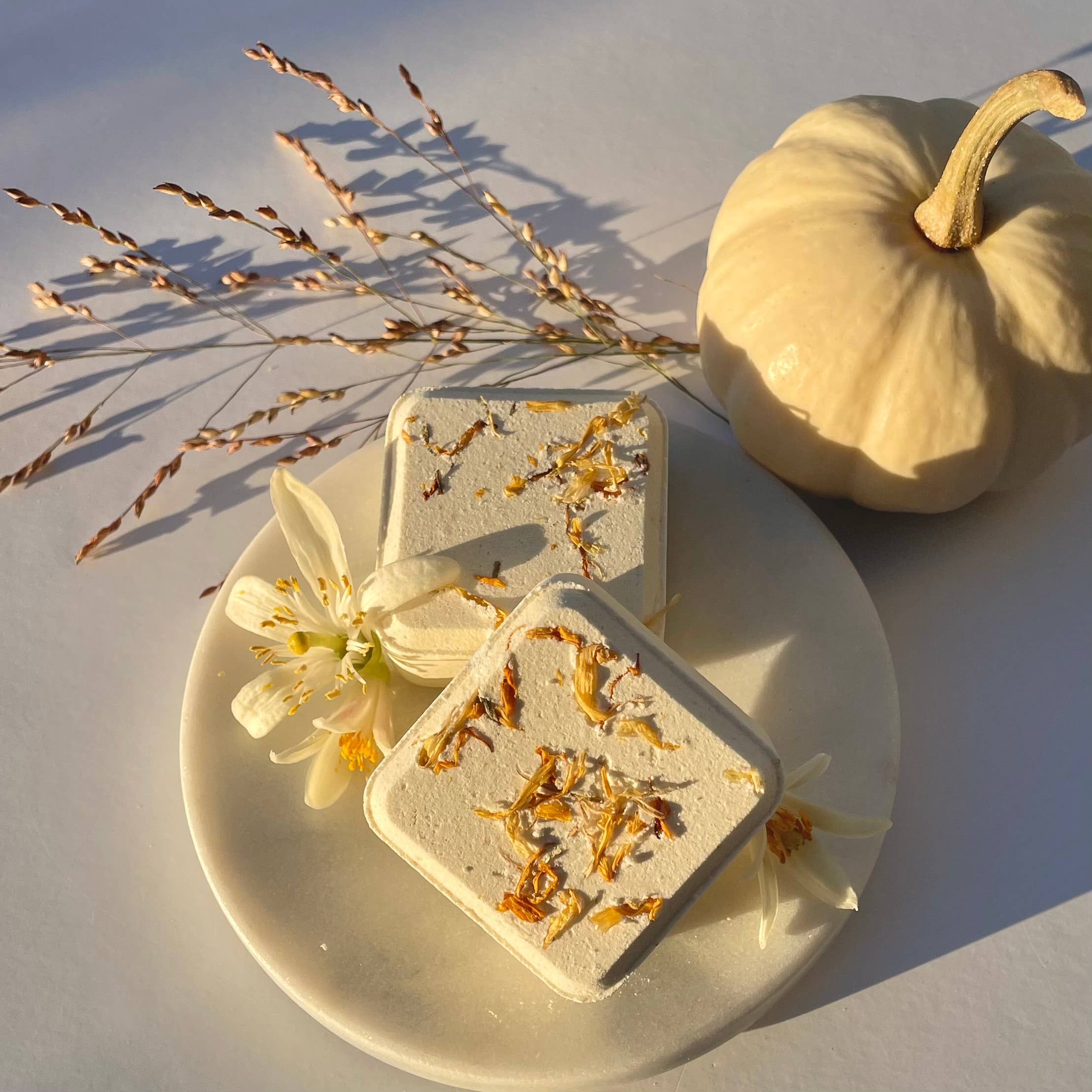 Pomander Fall Botanical Shower Steamers - Orange Clove