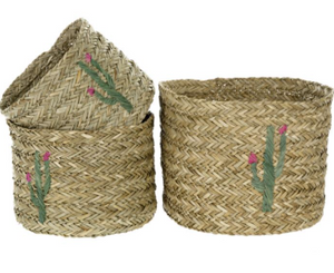 Cactus Basket